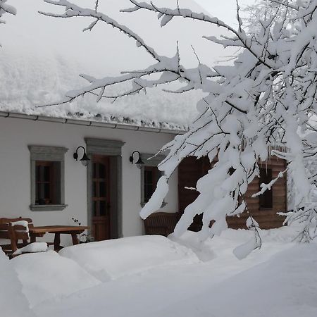 Farm Stay Dolinar Krainer Bohinjska Bela Exterior foto